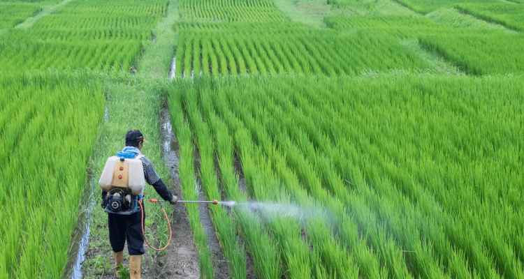 Sansar Green Bio Fertilizer For Crops