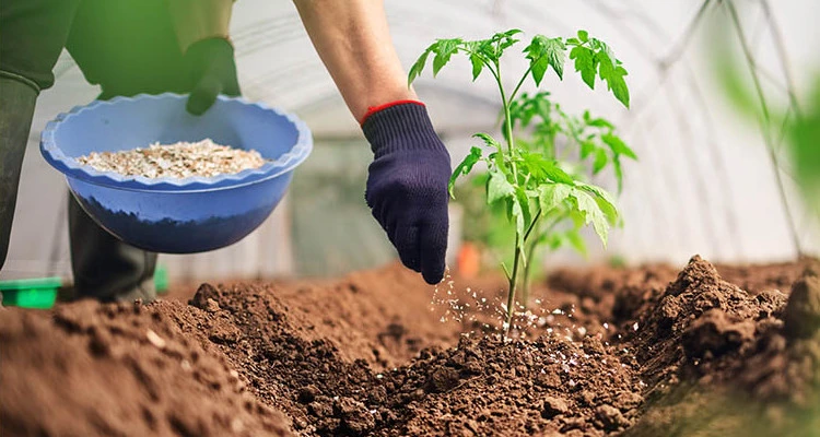 How Organic Fertilizers Are Made_sansar_green_