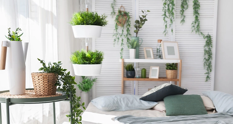 Plant-for-living-room_sansar_green