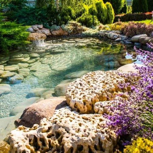 Beautiful rock Garden Sansar Green
