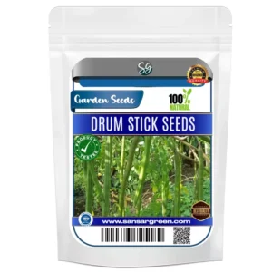 Sansar Green Drum Stick Seeds From Sansar Green