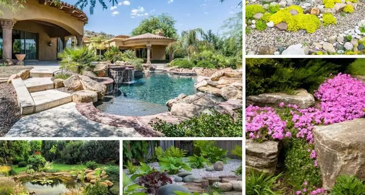 rock garden Idea sansar Green