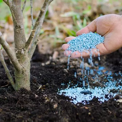 Bio organic fertilizer for plants sansar green