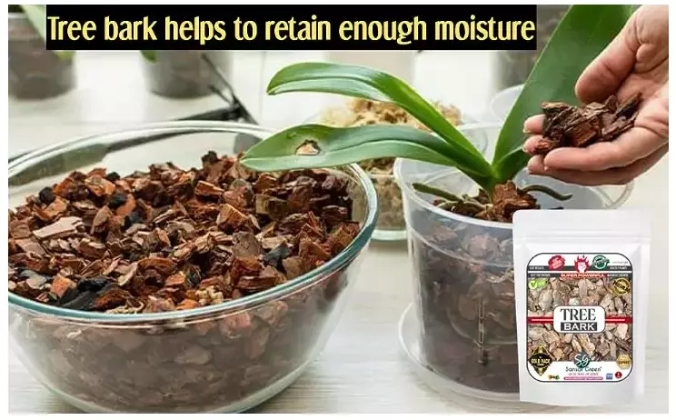 Sansar Green Tree Bark for Orchid Plant