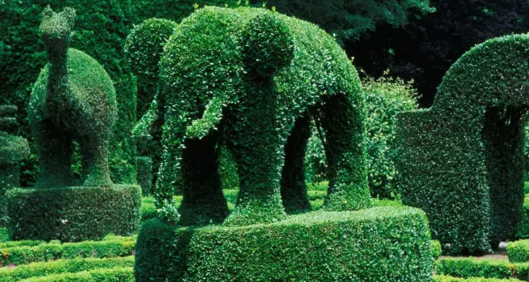  What is Topiary Garden sansar_green