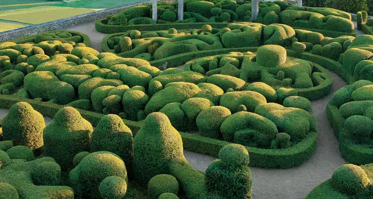  What is Topiary Garden sansar_green