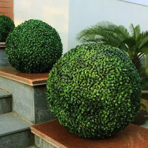  What is Topiary Garden sansar_green