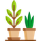 Best bio fertilizer for plants