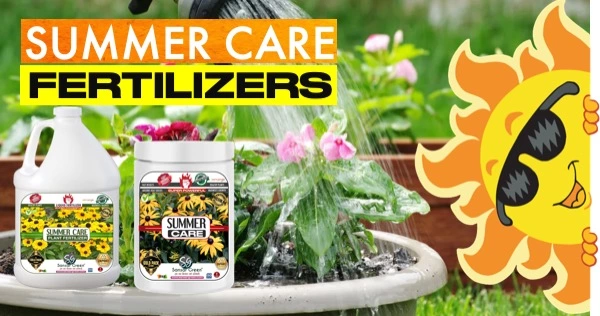 Summer care fertilizer for plants