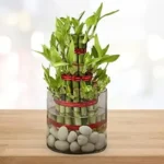 Sansar Green Aquatic Plant Food Liquid Fertilizer From Sansar Green