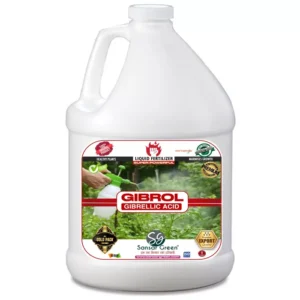 Sansar Green Gibrol Acid Liquid Fertilizer From Sansar Green