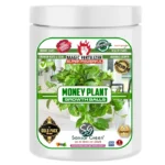 Sansar Green Money Plant Growth Magic Balls Fertilizer From sansar Green