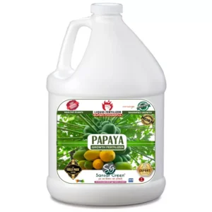 Sansar Green Papaya Growth Liquid Fertilizer From Sansar Green
