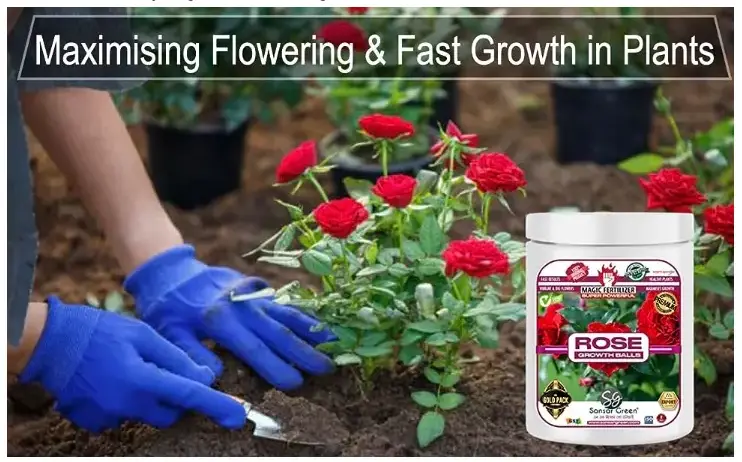 Sansar Green Rose Growth Magic Balls Fertilizer