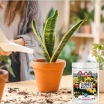 Sansar Green Summer Care Fertilizer From Sansar Green