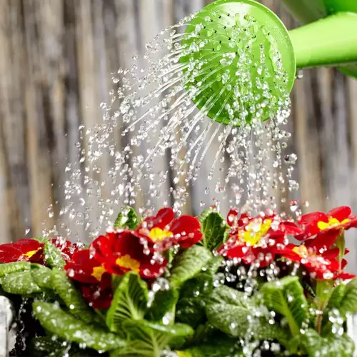 Sansar Green Water Softner Liquid fertilizer From Sansar Green