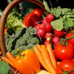 sansar Green Vegetable Plant Growth Magic Balls Fertilizer From Sansar Green
