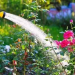 Sansar Green Water Softner Plant Fertilizer From sansar Green
