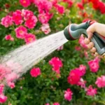 Sansar Green Water Softner Plant Fertilizer From sansar Green