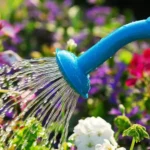 Sansar Green Water Softner Plant Fertilizer From sansar Green