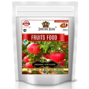 Sansar Agro Fruits Food