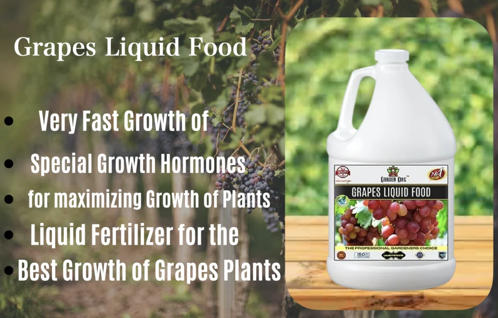 Garden King Grapes Liquid Food Plant Fertilizer