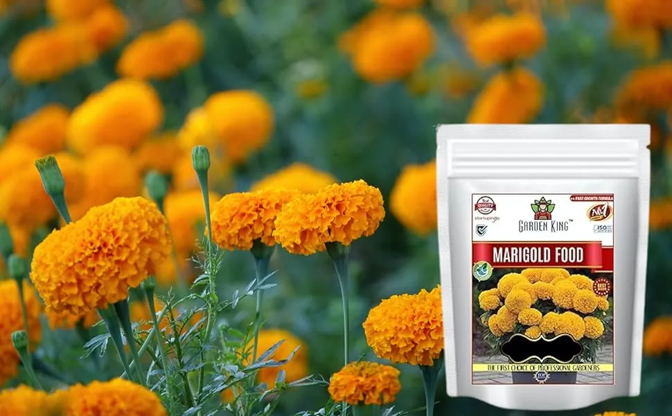 Garden_King_Marigold_Food_Fertilizer