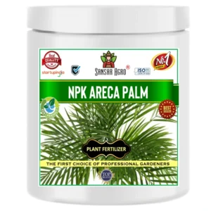Sansar Agro - Areca Palm