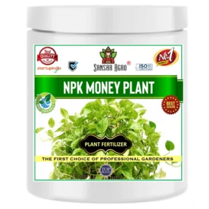 Sansar Agro - NPK Money Plant