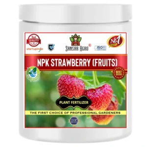 Sansar Agro - NPK for Strawberry Plant Fruit