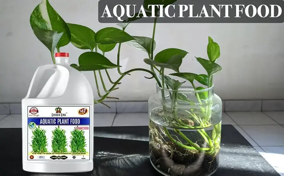 Sansar_Agro_Aquatic_Plant_food