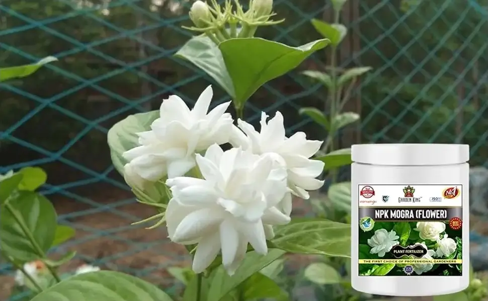 Sansar Agro NPK Mogra Flower Fertilizer