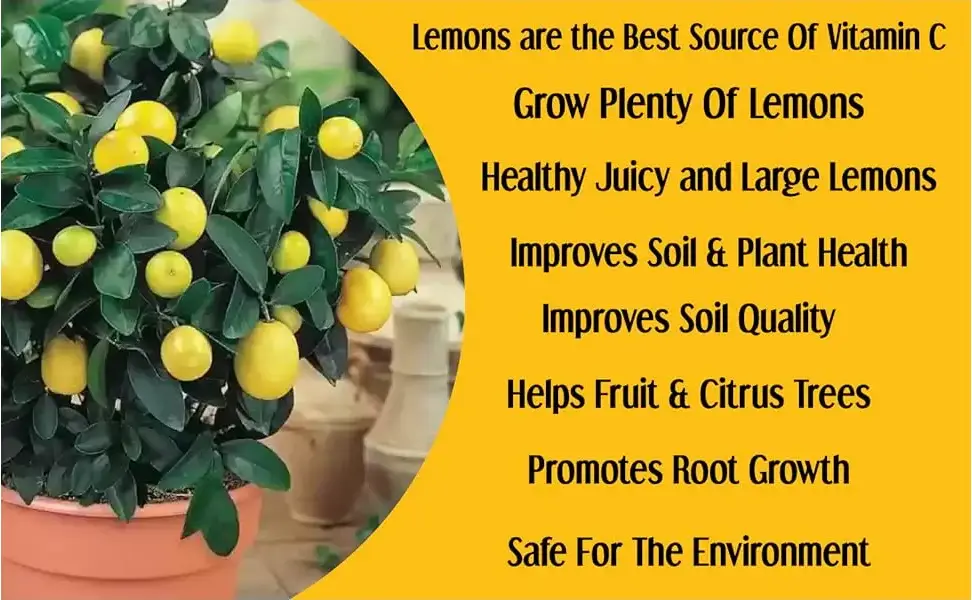 Sansar Agro NPK Lemon Fruit Fertilizer