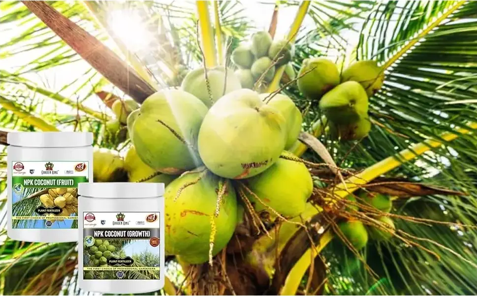 Sansar Agro - NPK Coconut Fruit