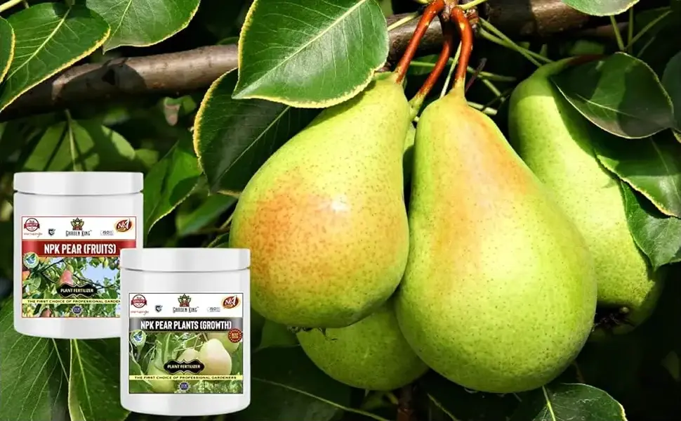 Sansar Agro - NPK Pear Fruit