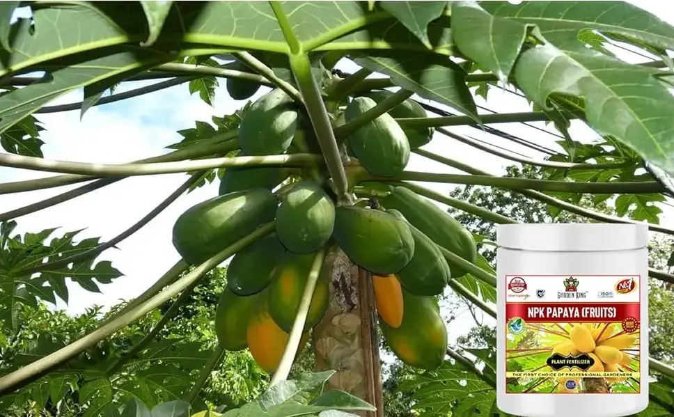 Sansar Agro - NPK Papaya Fruit