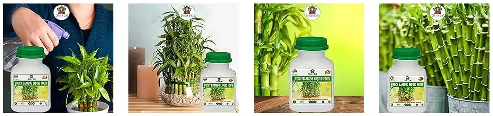 Sansar Agro - Lucky Bamboo Liquid Food Fertilizer
