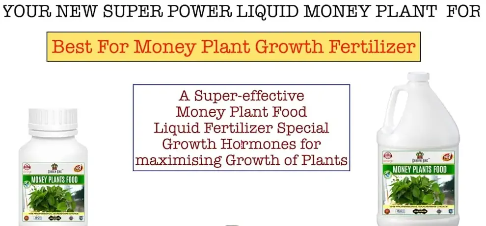 Sansar Agro - Money Plant Liquid Food Fertilizer