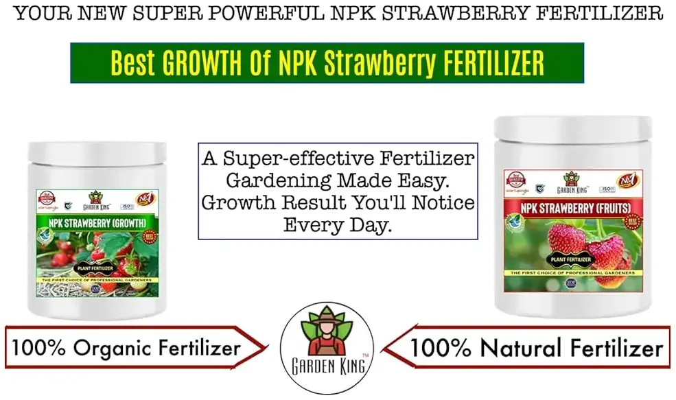 Sansar Agro NPK Strawberry Growth