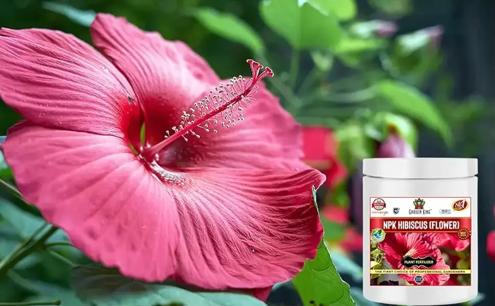 Sansar Agro NPK Hibiscus Flower