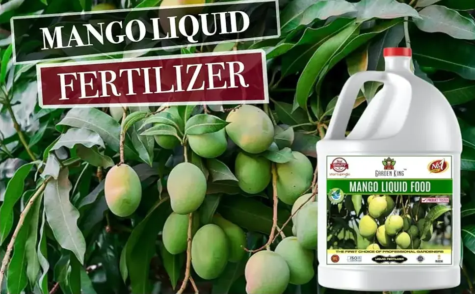 Sansar Agro Mango Liquid Food Fertilizer