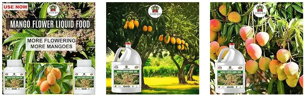 Sansar Agro Mango Flower Liquid Food Fertilizer