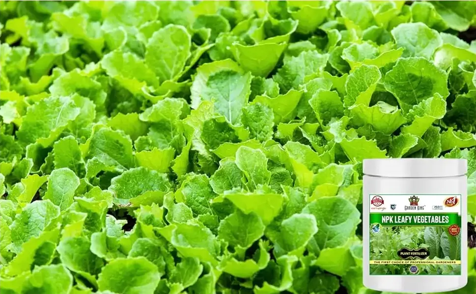 Sansar Agro NPK Leafy Vegetables Plant