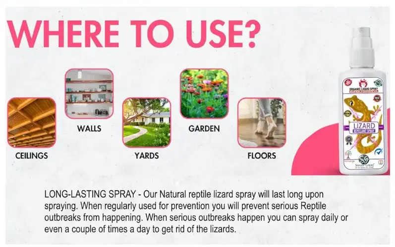 ORGANIC & NATURAL LIZARD REPELLENT SPRAY: Introducing Sansar Green lizard repellent Solution, a premium spray specially formulated to repel lizards without harming them. Lizard repellant spray for home is a pure natural & organic spray made with a unique blend of essential oils, including peppermint oil, eucalyptus oil, and citronella oil, making it a safe and lizard spray for your home and garden.
