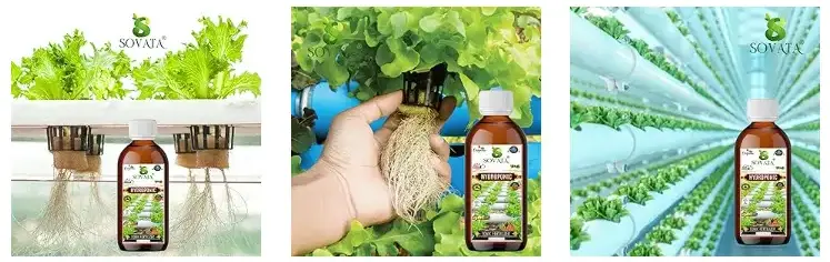 Sovata Hydroponic Tonic Liquid Fertilizer