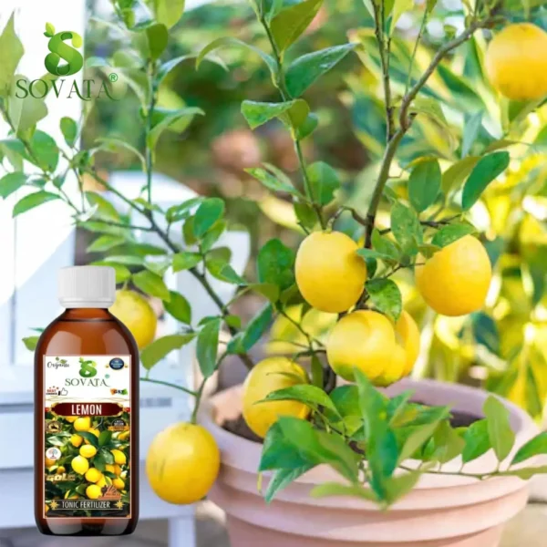 Sovata Lemon Tonic Liquid Fertilizer