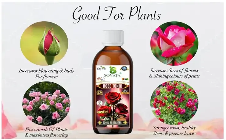 Sovata Rose Tonic Liquid Fertilizer