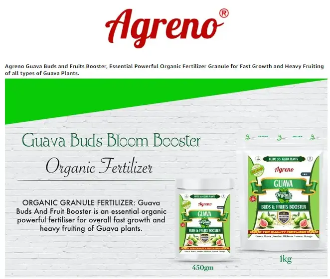 Agreno Guava Buds and Fruit Booster