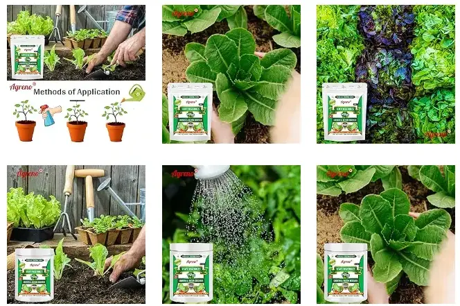 Agreno Leafy Vegetable Growth and Bloom Booster