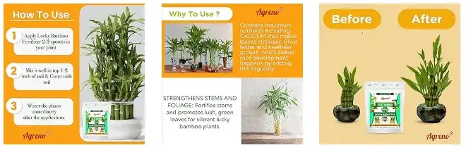 Agreno Lucky Bamboo Growth and Bloom Booster